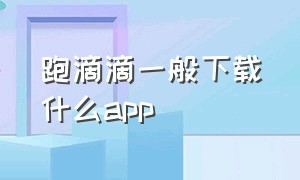 跑滴滴一般下载什么app