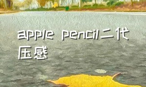 apple pencil二代压感