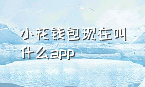 小花钱包现在叫什么app（小花钱包app下载安装最新版本）