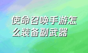 使命召唤手游怎么装备副武器