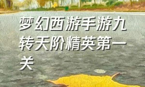 梦幻西游手游九转天阶精英第一关（梦幻西游手游九转天阶战将3）