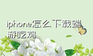 iphone怎么下载端游吃鸡