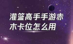 灌篮高手手游赤木卡位怎么用