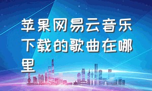 苹果网易云音乐下载的歌曲在哪里