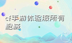 cf手游体验服所有枪械