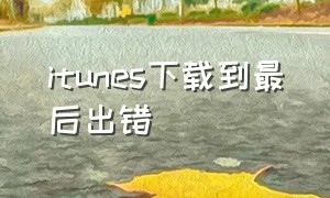 itunes下载到最后出错