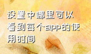 设置中哪里可以看到每个app的使用时间（设置中哪里可以看到每个app的使用时间）