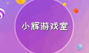 小辉游戏室