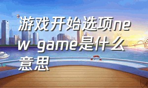 游戏开始选项new game是什么意思