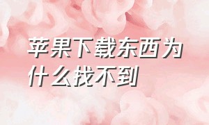 苹果下载东西为什么找不到