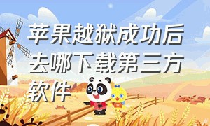 苹果越狱成功后去哪下载第三方软件（iphone越狱后如何安装第三方商店）