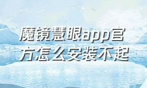 魔镜慧眼app官方怎么安装不起