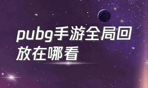 pubg手游全局回放在哪看