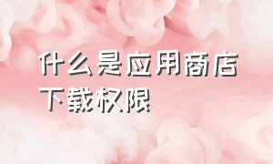 什么是应用商店下载权限（应用商店的链接入口在哪里）