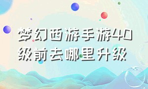 梦幻西游手游40级前去哪里升级（梦幻西游手游官网）