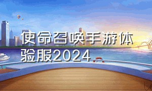 使命召唤手游体验服2024