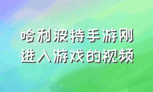 哈利波特手游刚进入游戏的视频