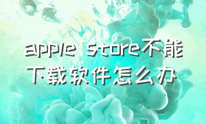 apple store不能下载软件怎么办（apple store为什么下载不了app）