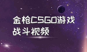 金枪CSGO游戏战斗视频