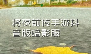 将夜前传手游抖音版暗影服