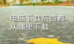 电脑下载东西都从哪里下载