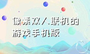 像素双人联机的游戏手机版