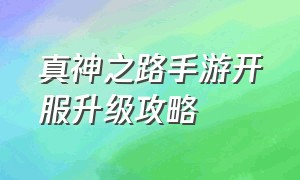 真神之路手游开服升级攻略