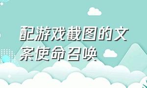 配游戏截图的文案使命召唤