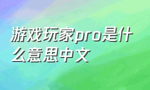 游戏玩家pro是什么意思中文