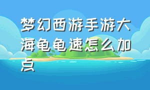 梦幻西游手游大海龟龟速怎么加点（梦幻西游手游大海龟怎么培养2024）