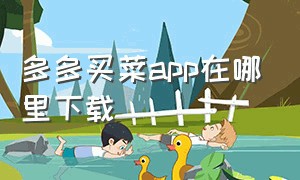 多多买菜APP在哪里下载