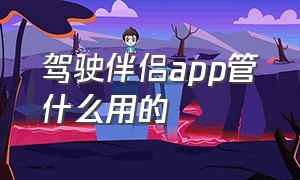 驾驶伴侣app管什么用的