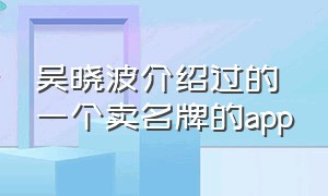 吴晓波介绍过的一个卖名牌的app