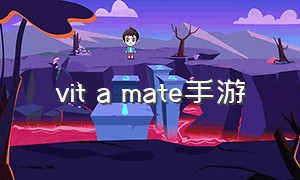 vit a mate手游