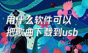 用什么软件可以把歌曲下载到usb（怎么用手机usb下载歌曲到mp3）