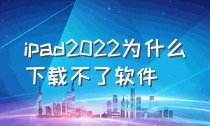 ipad2022为什么下载不了软件（ipad9.3.5下载不了软件怎么办）