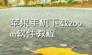 苹果手机下载zoom软件教程（苹果手机下载zoom软件教程）