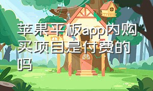 苹果平板app内购买项目是付费的吗