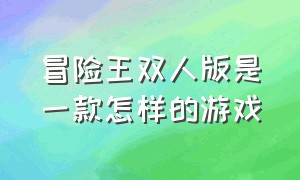 冒险王双人版是一款怎样的游戏