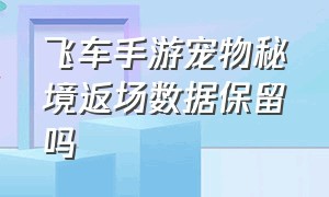 飞车手游宠物秘境返场数据保留吗