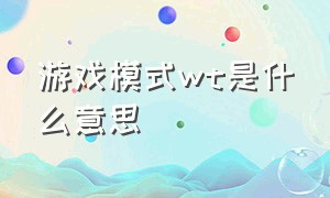 游戏模式wt是什么意思