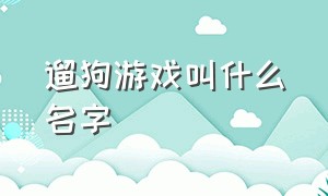 遛狗游戏叫什么名字