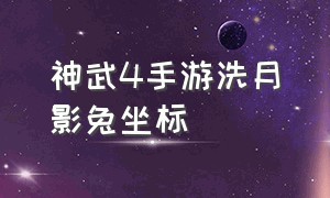 神武4手游洗月影兔坐标