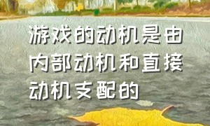 游戏的动机是由内部动机和直接动机支配的