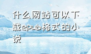 什么网站可以下载epub格式的小说