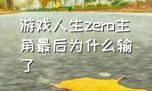 游戏人生zero主角最后为什么输了