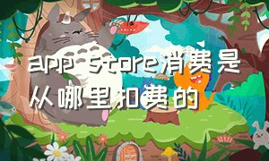 app store消费是从哪里扣费的