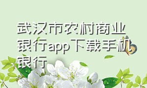 武汉市农村商业银行app下载手机银行（武汉农商银行app官方下载）