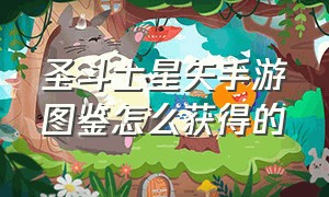 圣斗士星矢手游图鉴怎么获得的（圣斗士手游图鉴怎么用）