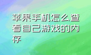 苹果手机怎么查看自己游戏的内存